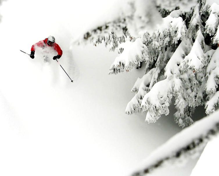 SC-WEB-2026-MAIN-IMG-HOME-TEST-001